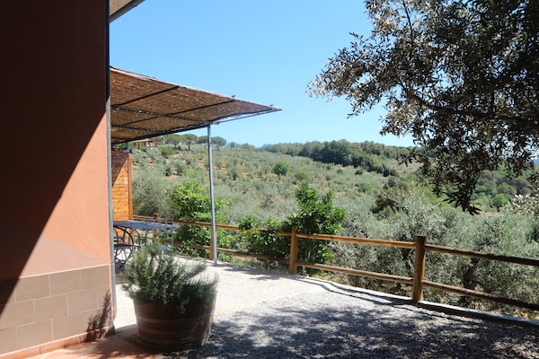 Foto van Huisdiervriendelijke vakantie, Castagneto Carducci - ExteriorSummer