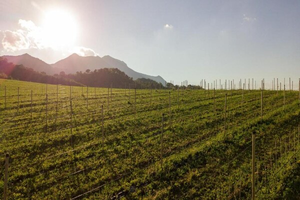 Foto van Landhuis in Cagli met Zwembad en Uitzicht - Vakantiehuis in Cagli - AreaSummer20KM