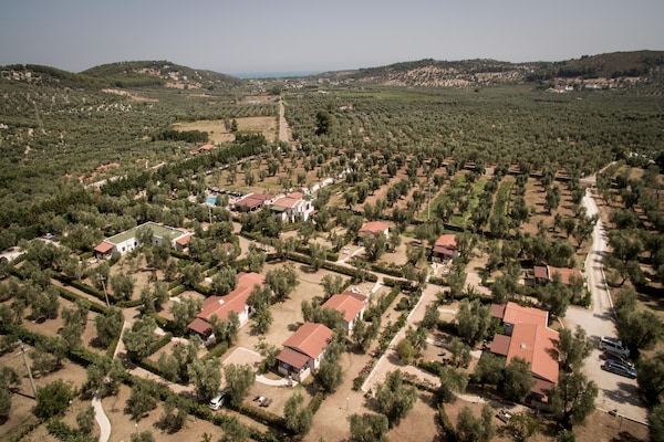 Foto van Boerderij in Vieste bij Gargano Park - Vakantiehuis in Vieste - ExteriorSummer
