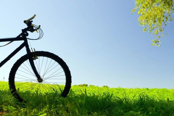 Foto van Villa in de witte stad van Ostuni - Vakantiehuis in Ostuni (br) - AreaSummer20KM