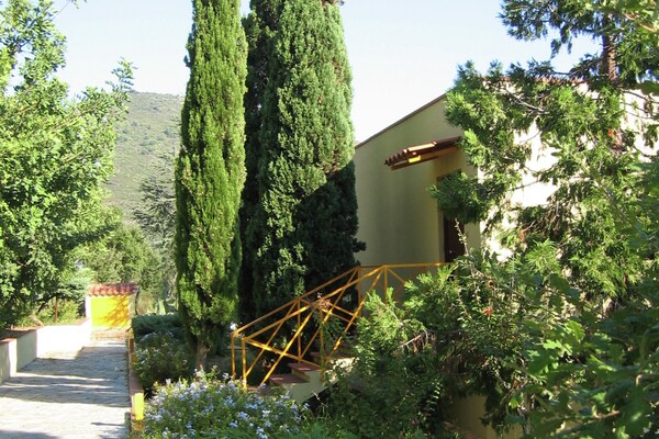 Foto van Cilento-uitje met terras - Vakantiehuis in Palinuro - ExteriorSummer
