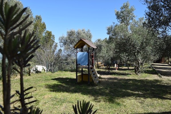 Foto van Villa in Syracuse met zwembad en terras - Vakantiehuis in Siracusa - Facilities