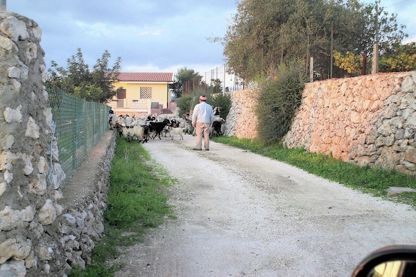 Foto van Villa in Syracuse met zwembad en terras - Vakantiehuis in Siracusa - AreaSummer5KM