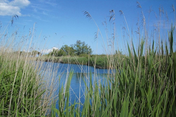 Foto van Ruim verblijf op Corsica voor 8 vlakbij het strand - WaterView