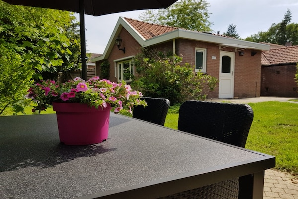 Foto van Huisje in Veluwe bij Bospark - Vakantiehuis in Garderen - ExteriorSummer