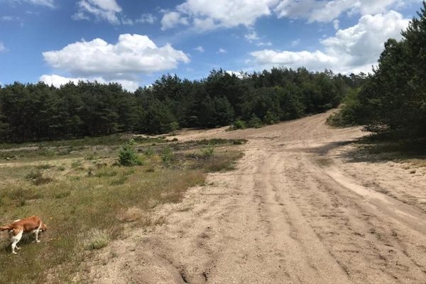 Foto van Huisje in Veluwe bij Bospark - Vakantiehuis in Garderen - AreaSummer20KM