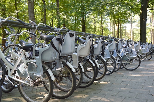 Foto van Huisje in Veluwe bij Bospark - Vakantiehuis in Garderen - AreaSummer20KM