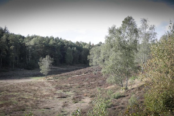 Foto van Huisje in Veluwe bij Bospark - Vakantiehuis in Garderen - AreaSummer20KM