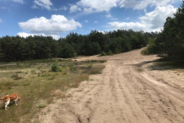 Foto van Thuis in het dansende bos - Vakantiehuis in Garderen - AreaSummer20KM