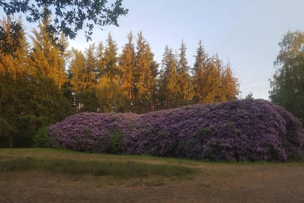 Foto van Thuis in het dansende bos - Vakantiehuis in Garderen - AreaSummer20KM