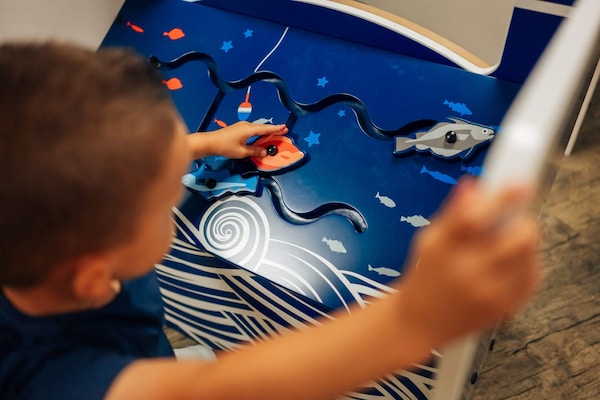 Foto van Vakantiehuis voor groepen met sauna en zwembad - Vakantiehuis in Havelte - Ambiance