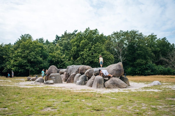 Foto van Vakantiehuis voor groepen met sauna en zwembad - Vakantiehuis in Havelte - AreaSummer5KM