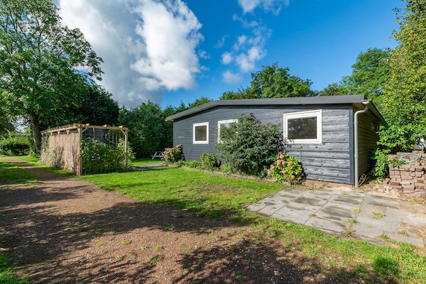 Foto van Bungalow in Nederland met tuin & trampoline - Vakantiehuis in Sint Maartensvlotbrug - ExteriorSummer
