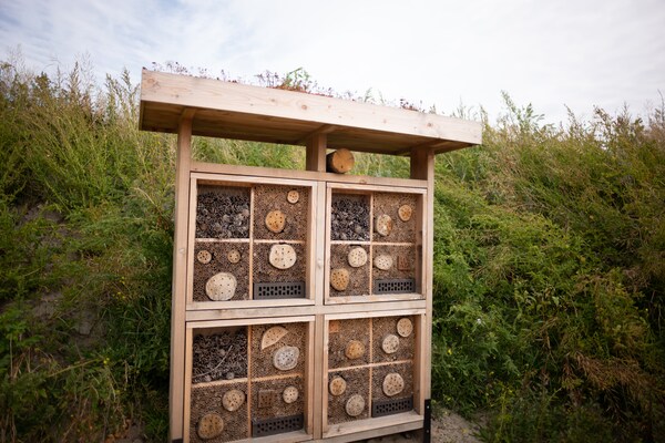 Foto van Rolstoelvriendelijke retraite - Vakantiehuis in Callantsoog - Ambiance