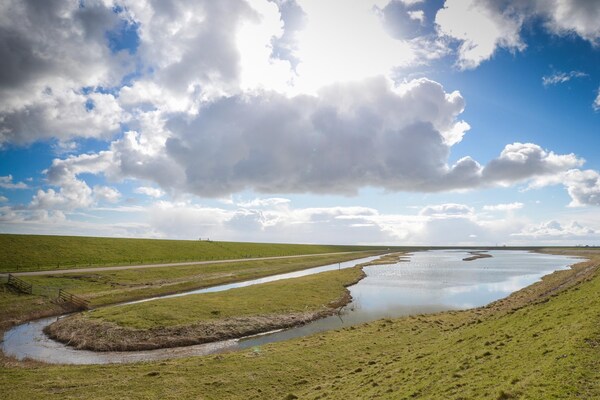 Foto van Heerlijke villa aan de bosrand - Vakantiehuis in Den Burg - AreaSummer5KM