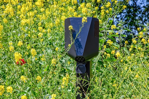 Foto van Villa op Texel bij Waddenzee & Vogelgebied - Vakantiehuis in Oosterend - Ambiance