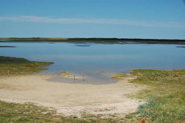 Foto van Ruime boerderij vlakbij het strand - Vakantiehuis in De Koog - AreaSummer20KM