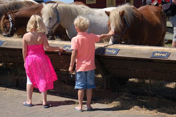 Foto van Ruime boerderij vlakbij het strand - Vakantiehuis in De Koog - Ambiance