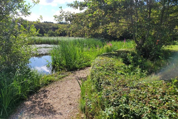 Foto van Vakantiehuis in Bergen bij Noordzeestrand - Vakantiehuis in Bergen aan zee - AreaSummer20KM
