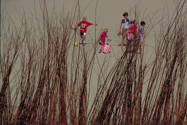 Foto van Huisnummer 1. Comfortabele vakantiewoning - Vakantiehuis in Egmond (Egmond) - Untagged