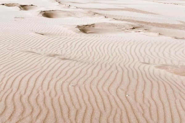 Foto van Vakantiehuis bij kust en bos - Vakantiehuis in Noordwijk - AreaSummer5KM
