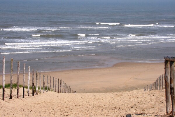 Foto van Vakantiehuis bij kust en bos - Vakantiehuis in Noordwijk - AreaSummer5KM