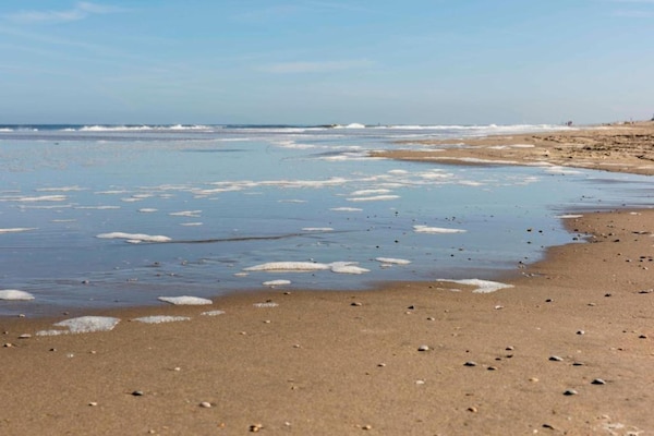 Foto van Vakantiehuis in Noordwijk bij Strand - Vakantiehuis in Noordwijk - AreaSummer20KM