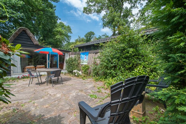 Foto van Vakantiehuis Bergen bij Bos en Strand - Vakantiehuis in Bergen - GardenSummer