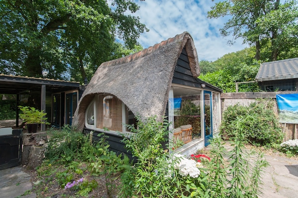 Foto van Vakantiehuis Bergen bij Bos en Strand - Vakantiehuis in Bergen - ExteriorSummer