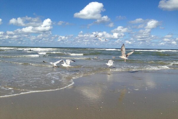 Foto van Safaritent bij Vlugtenburg Strand - Vakantiehuis in 's-Gravenzande - AreaSummer20KM