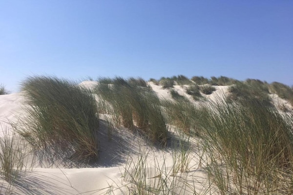 Foto van Huisje in Nes-Ameland bij Kust - Vakantiehuis in Nes-Ameland - AreaSummer20KM