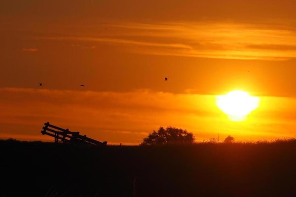 Foto van Bungalow aan het water bij Rotterdam - Vakantiehuis in Simonshaven - AreaSummer20KM