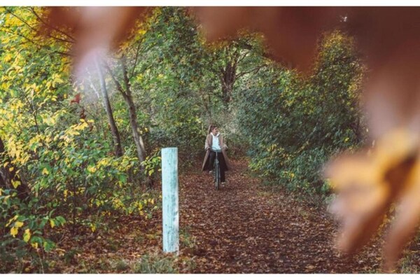 Foto van Chalet in Veluwe bij Natuurgebied - Vakantiehuis in Voorthuizen - AreaSummer20KM
