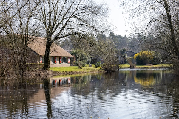Foto van Bungalow in Veluwe met Infraroodsauna - Vakantiehuis in Putten - AreaSummer1KM