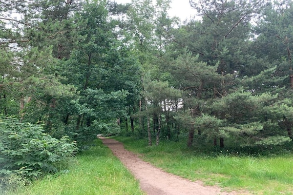 Foto van Bungalow in Veluwe met Infraroodsauna - Vakantiehuis in Putten - AreaSummer5KM