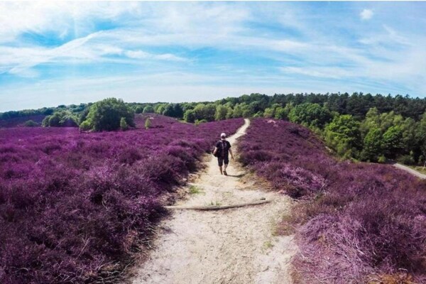 Foto van Bungalow in Veluwe met Infraroodsauna - Vakantiehuis in Putten - AreaSummer5KM
