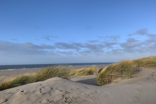Foto van Bungalow in Veluwe vlakbij Harderwijk - Vakantiehuis in Putten - AreaSummer1KM