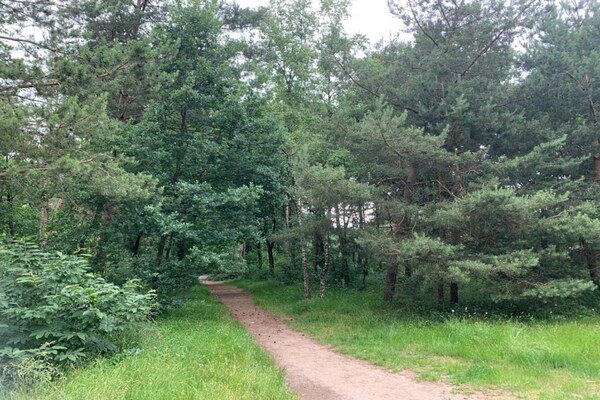 Foto van Bungalow in Veluwe vlakbij Harderwijk - Vakantiehuis in Putten - AreaSummer5KM