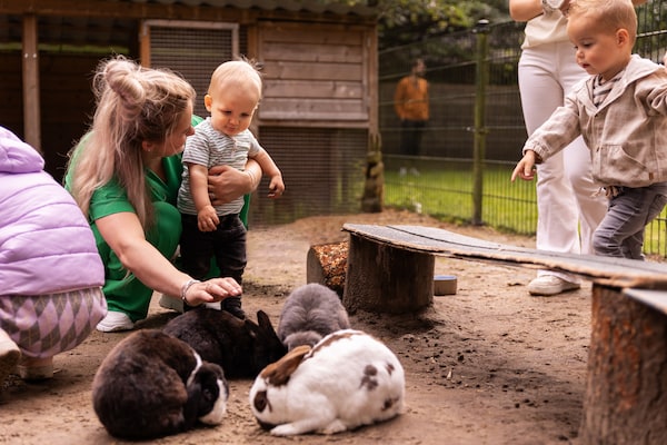 Foto van Bosbungalow met zwembad - Vakantiehuis in Putten - ParkFacilities