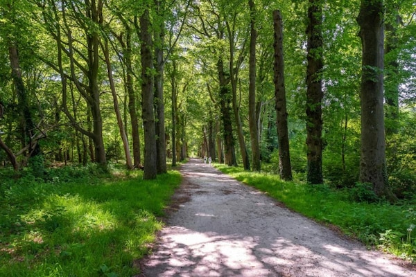 Foto van Waterlodge in Nederland met Paddleboarden - Vakantiehuis in Zeewolde - AreaSummer20KM