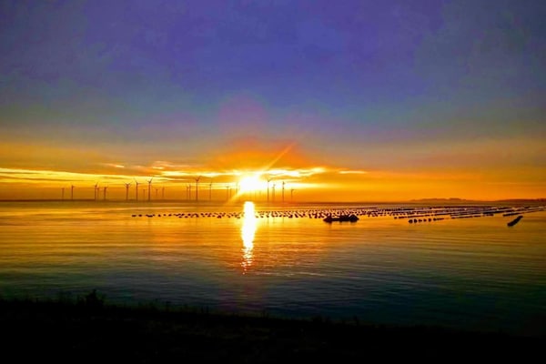 Foto van Landhuis in AquaStaete met Veranda - Vakantiehuis in Bruinisse - AreaSummer20KM