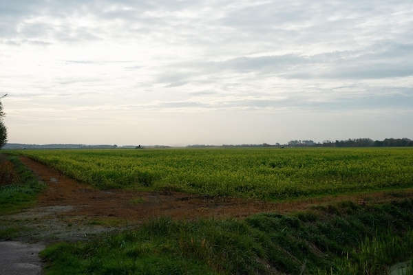 Foto van Chalet in Renesse bij zandstranden - Vakantiehuis in Renesse - AreaSummer5KM