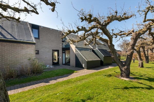 Foto van Vakantiehuis bij Strand met Zwembad - Vakantiehuis in Burgh-Haamstede - ExteriorSummer