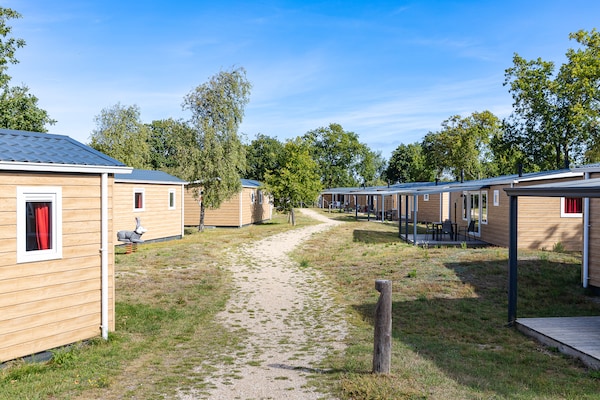 Foto van Villa in Burgh-Haamstede met tuin - Vakantiehuis in Burgh-Haamstede - ExteriorSummer