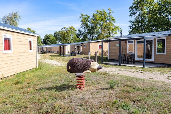 Foto van Villa in Burgh-Haamstede met tuin - Vakantiehuis in Burgh-Haamstede - ExteriorSummer
