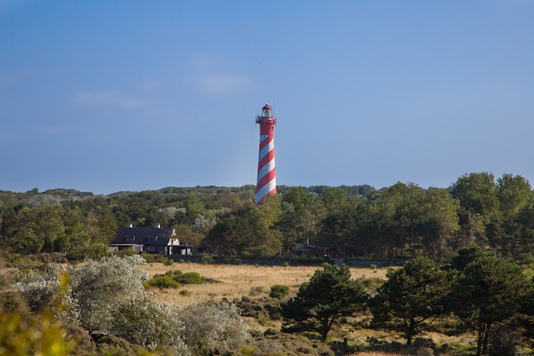 Foto van Villa in Burgh-Haamstede met tuin - Vakantiehuis in Burgh-Haamstede - AreaSummer5KM