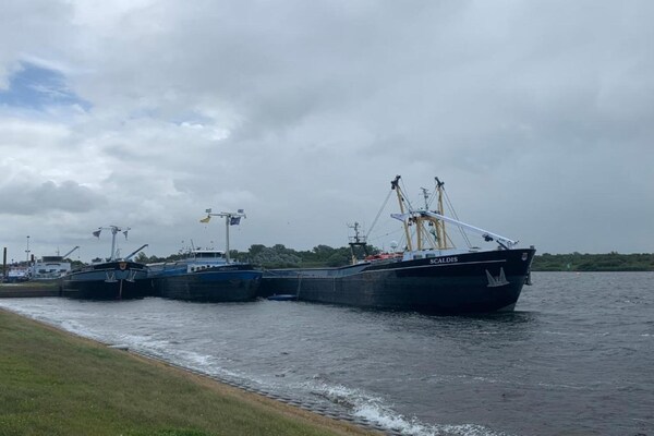 Foto van Landhuis in Vrouwenpolder bij Strand - Vakantiehuis in Vrouwenpolder - AreaSummer20KM