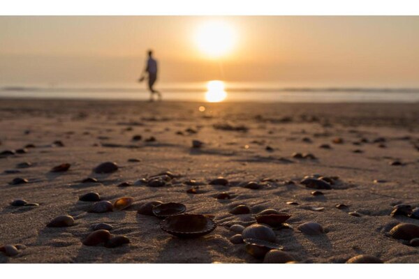 Foto van Appartement in Domburg bij het Strand - Vakantiehuis in Domburg - AreaSummer20KM