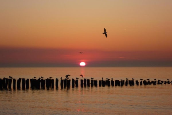 Foto van Appartement in Domburg bij het Strand - Vakantiehuis in Domburg - AreaSummer20KM