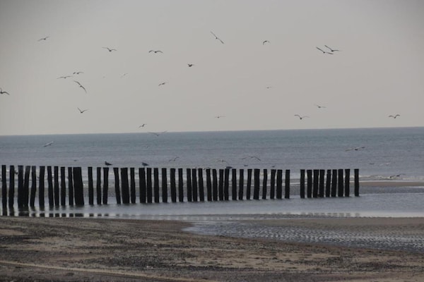 Foto van Zonnig Zeeuws Uitje - Vakantiehuis in Koudekerke - AreaSummer5KM